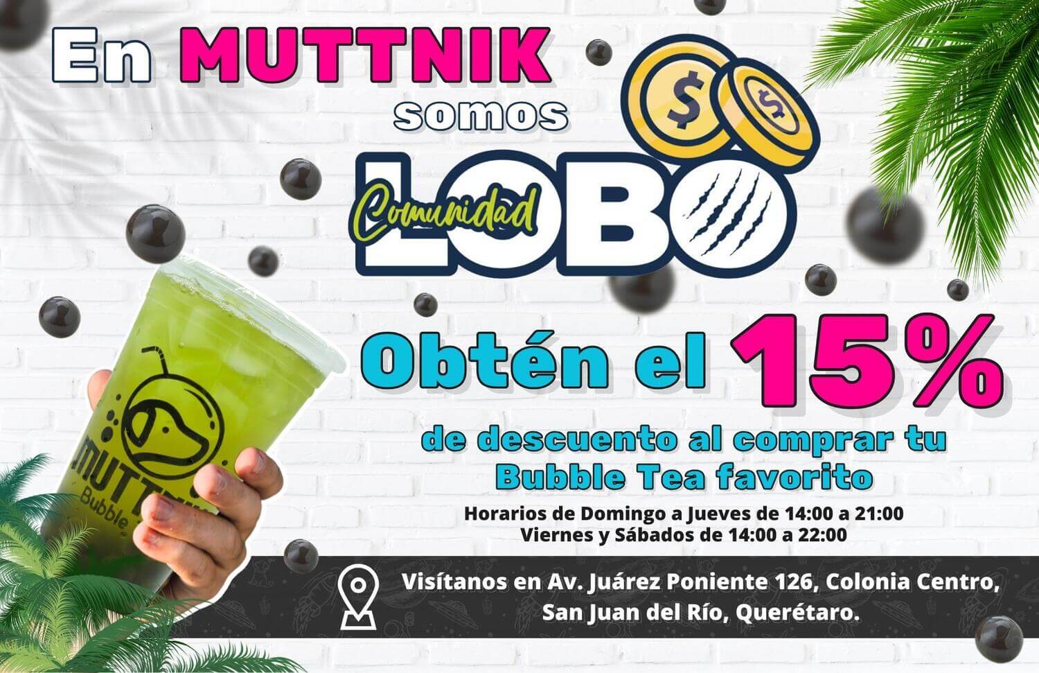oferta